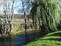 Riverside Park, Wiltshire